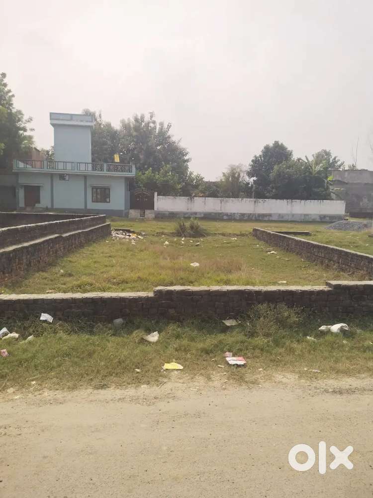 Commercial plot
