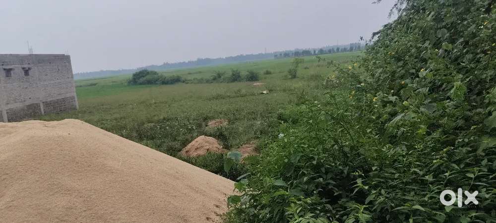 1 acre land available for lease any purpose in Bajpur,Khorda