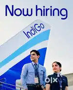 Ground Staff jobs in indigo Airlines urgent hiring Apply Fast