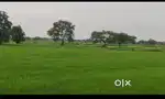 Farmhouse land
