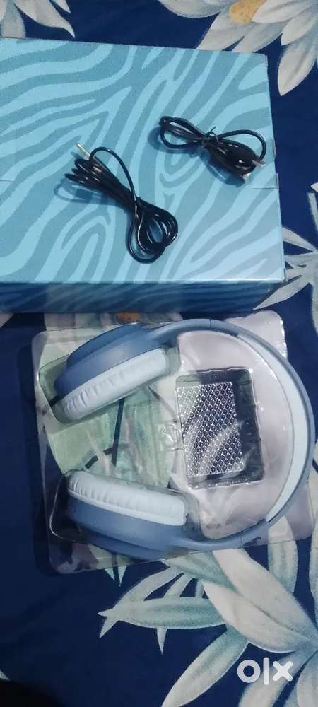 Zebronics Paradise NeoR headphone.  and  EVM EnZest power bank 1000mah