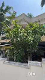 House for Rent in Kazhakkoottam Ramachandra nagar