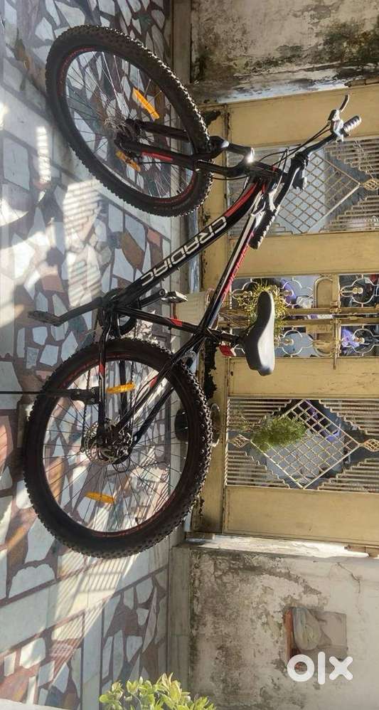 Cardiac xplorer himalayan