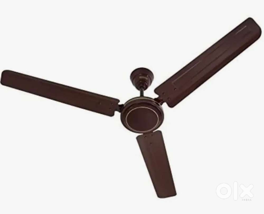 Ceiling fan (usha)