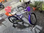 Kids Women and Men cycles