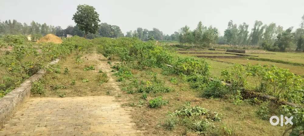Plot 600sqr feet