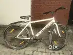 Avon cycle