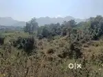 Land for sale 5.5 Acres