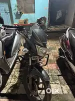 Honda shine available for sale urgently