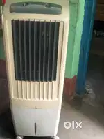 Maharaja white line  cooler