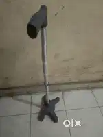 Walking stick