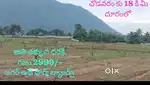Agar wood ప్లాంటేషన్ స్కీమ్ 100 గజాలు 3లక్షలు,EMIద్వారా చెల్లించ వచ్చు