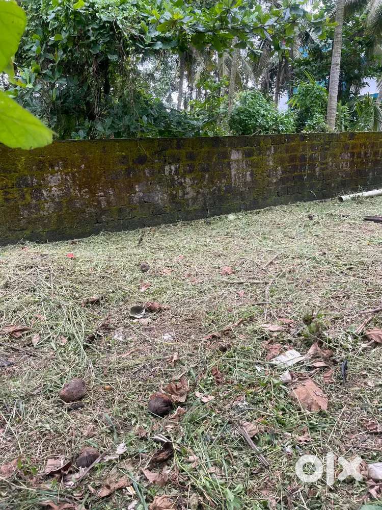 11 cent plot for sale near Chempmukku kakkanad
 Per cent : 7.5 lakhs