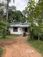 URGENT SALE PLOT AND HOUSE 13 CENTS