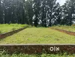 R3 plot for sale in bhauwala at very reasonable price in
