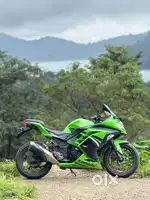 Ninja 300 limited edition