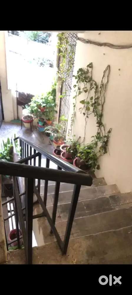 1BHK Flat for Rent in Sir Syed Nagar, Aligarh 24x7 Water & Parking.