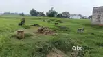 जमीन बिकाऊ है