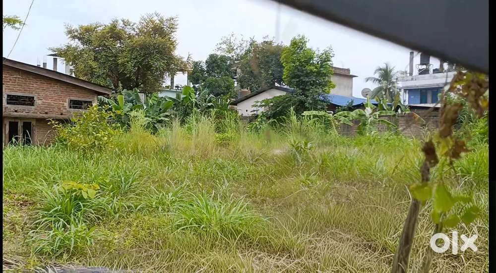 1 katha Miyadi plot in Saukuchi