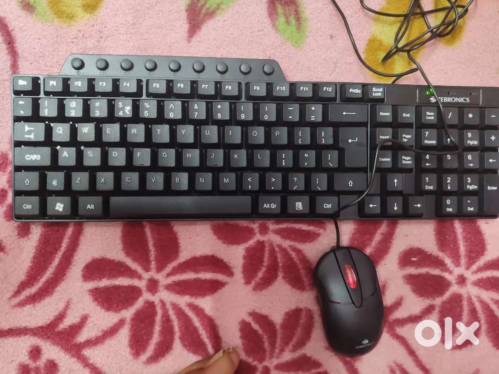 Zebronics  keyboard and mouse