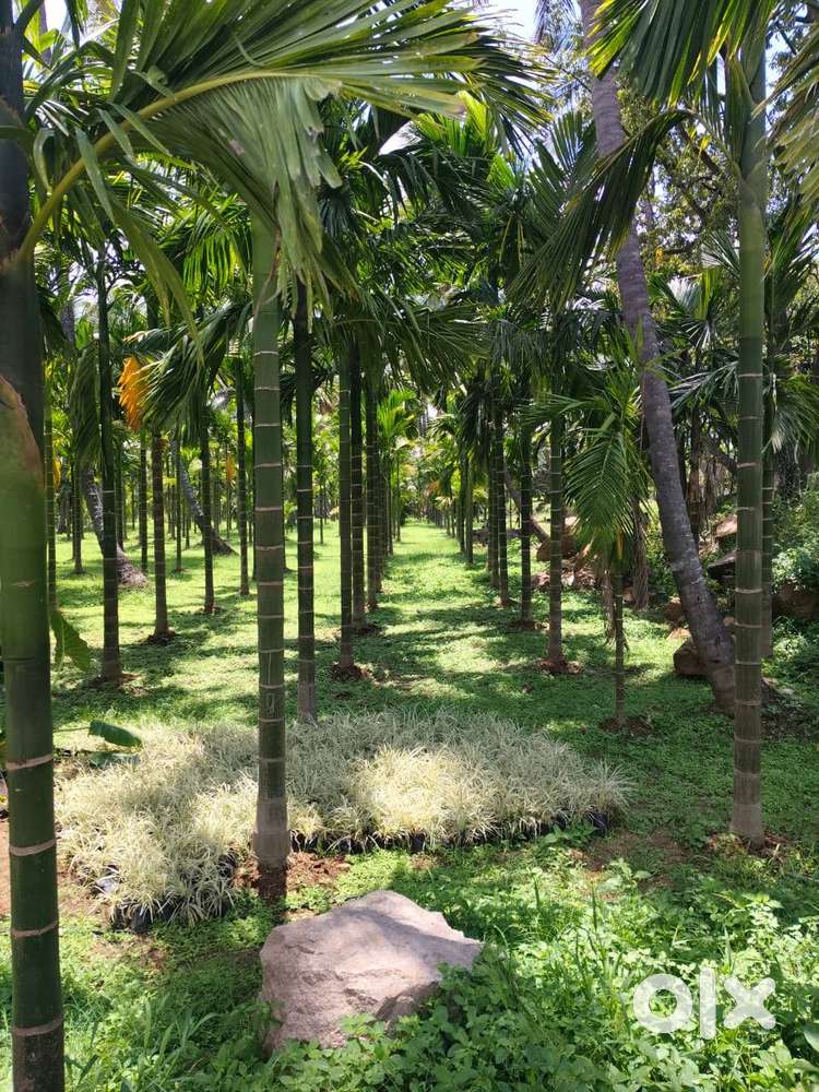 BHUVANAM GREENS MANAGED FARM LAND KANAKAPURA
