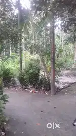 নন্দনকাননে জায়গা বিক্রয়