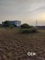 Land for sale in padapai