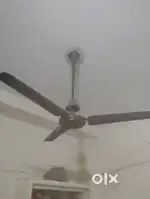 Fan in good condition