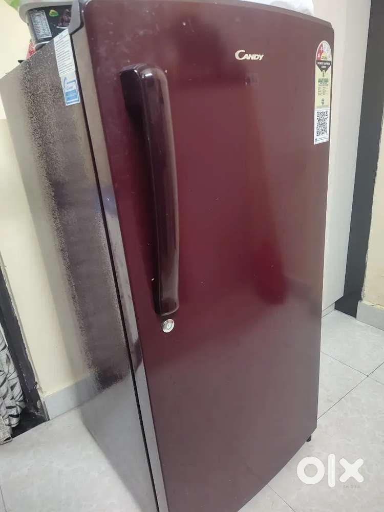 CANDY Refrigerator Fridge