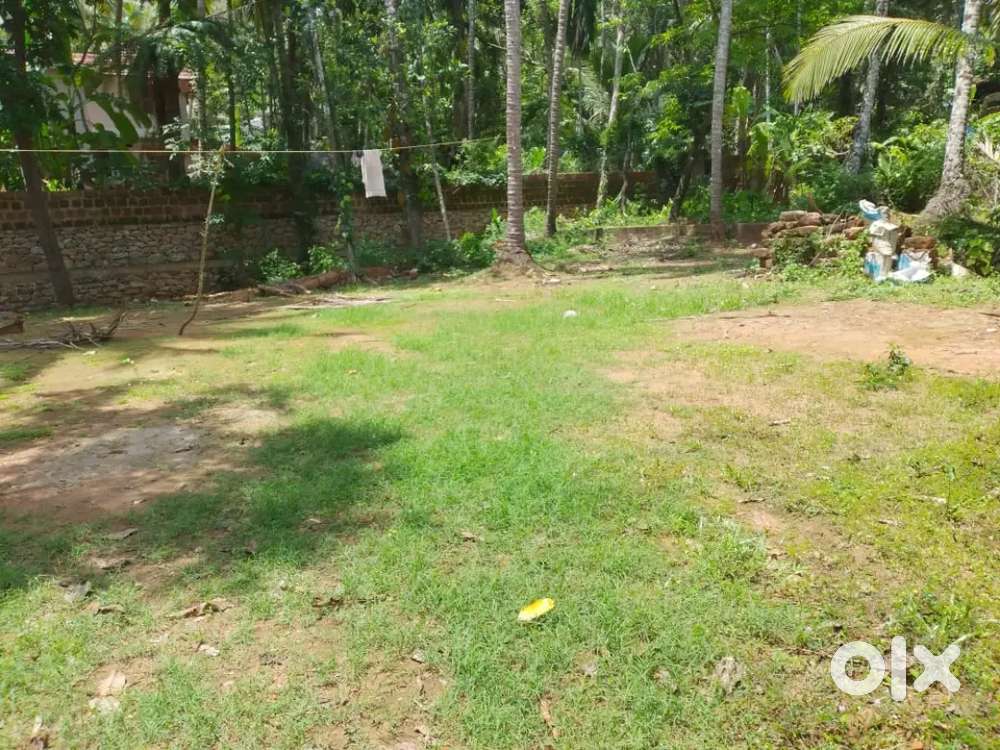 ഇരിങ്ങൽ ടൗണിനടുത്ത് 13 സെന്റ് പ്ലോട്ട് വിൽപ്പനയ്ക്ക്.