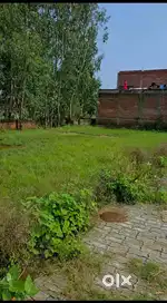 Approx 800 gaz available, beside prachi degree college
