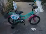 Bella brand cycle