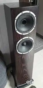 Fyne Audio F501, Audiophile Speakers