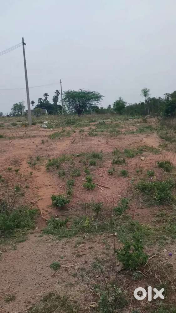Premium plots near exit number 12 bongloor junction