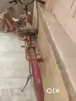 2 biycecal
