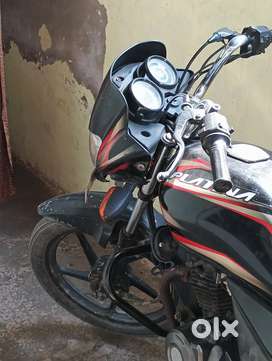 Paltina 2015 model