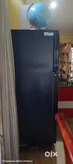 Grodrej neon fridge