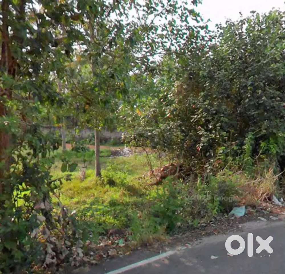 45 cents land by the side of  mevaram-mayyanad road for sale
