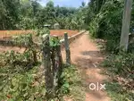 6 cent plot in Pavumba
