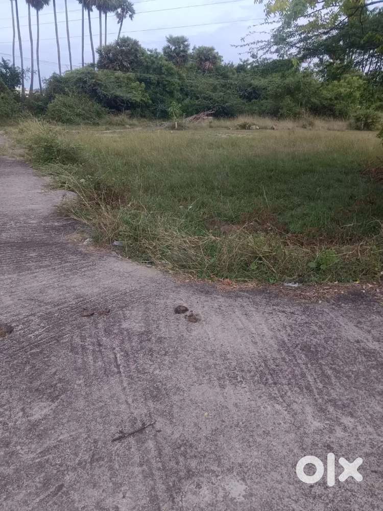 Dtcp approved plot sale in Guduvanchery perumattunallur