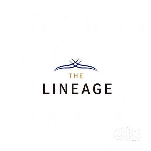 Tailor needed for mens and womens