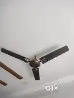 Havells fan