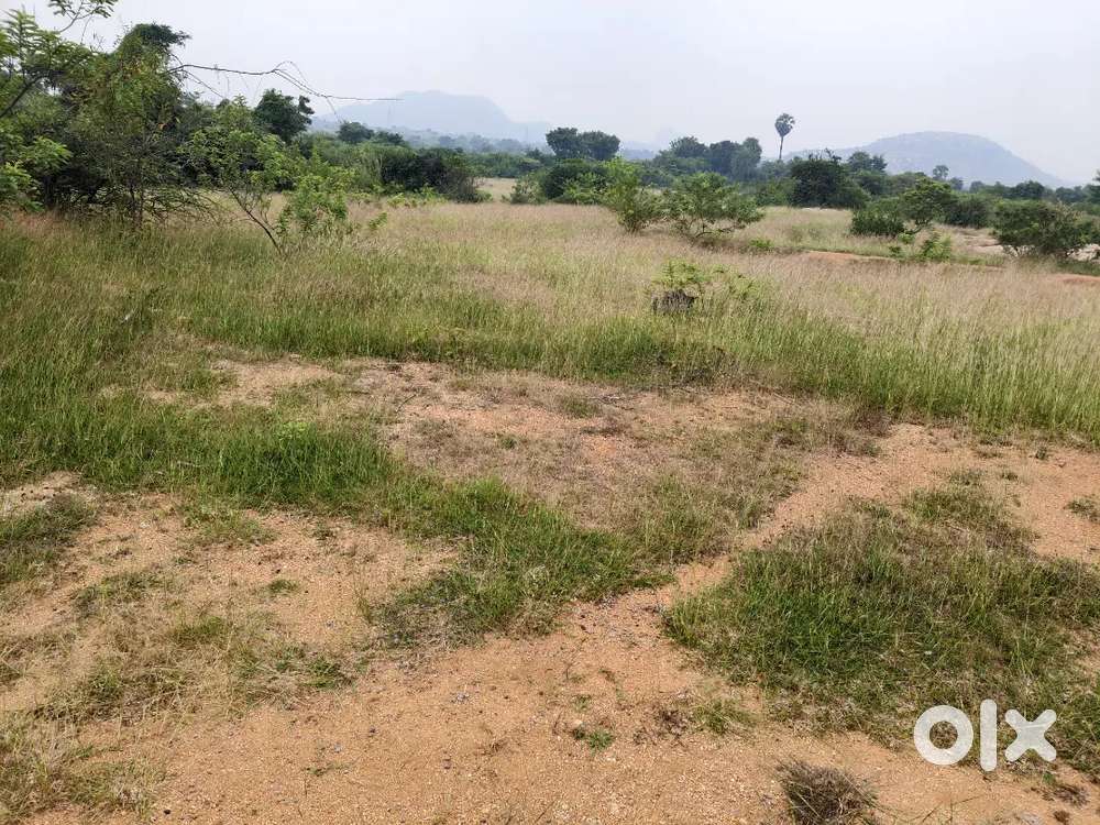 15 Acer agriculture land in Kalakada mandalam