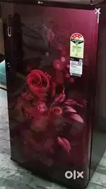 LG 185L 4-Star Inverter Single Door Refrigerator