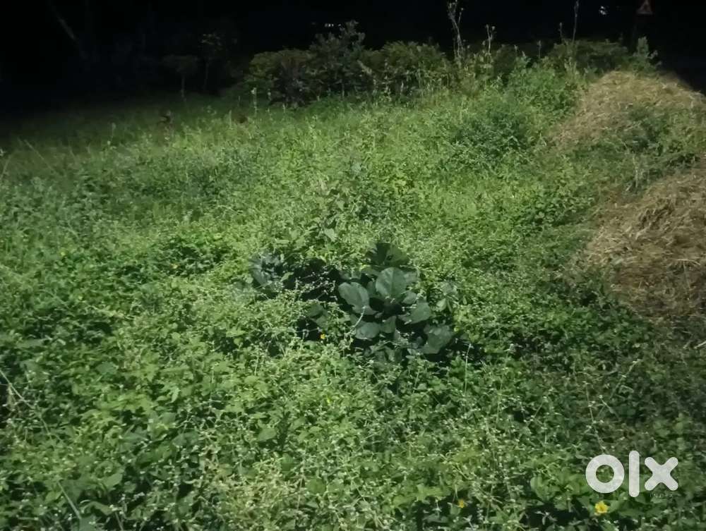 Plot for House for sale