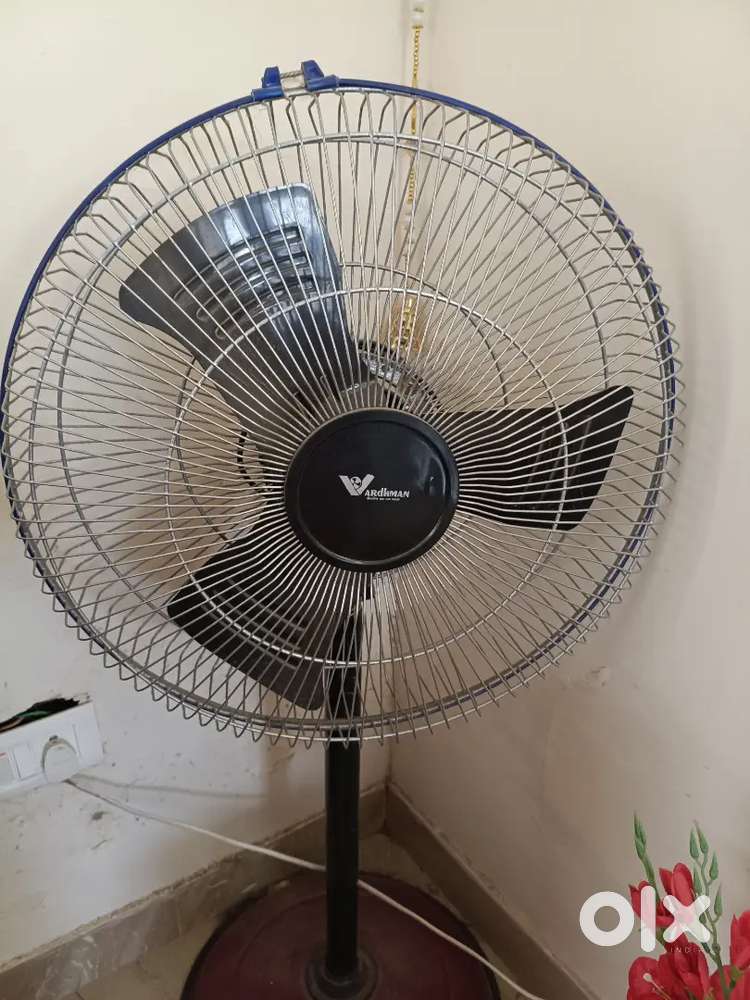 Standing Fan