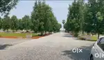 Budampadu CRDA Plots for sale. Bank Loan Facility available