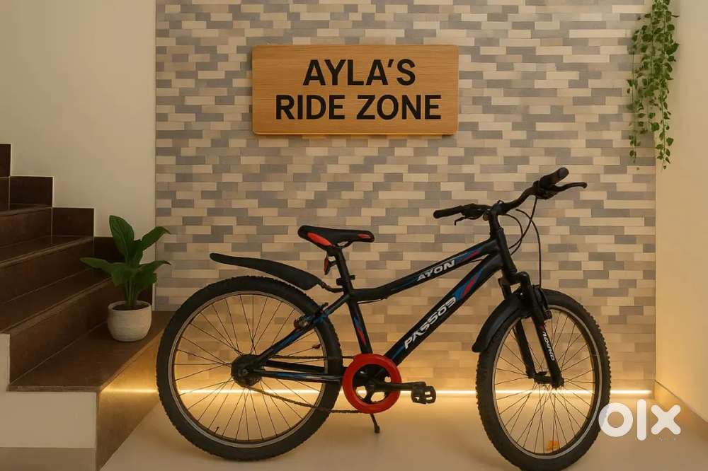 Bicycle of hero