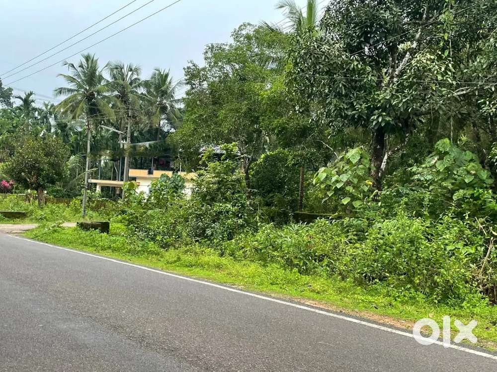 Commercial 30  cents land close to belvai  karkala udupi karnatak