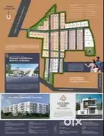 Looking for kids investment plan